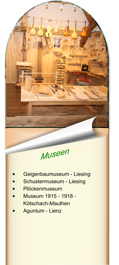 Museen  •	Geigenbaumuseum - Liesing •	Schustermuseum - Liesing •	Plöckenmuseum •	Museum 1915 - 1918 - Kötschach-Mauthen •	Aguntum - Lienz