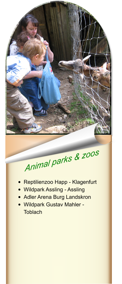 Animal parks & zoos   •	Reptilienzoo Happ - Klagenfurt •	Wildpark Assling - Assling •	Adler Arena Burg Landskron •	Wildpark Gustav Mahler - Toblach