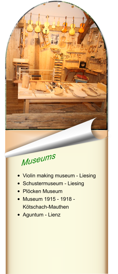 Museums   •	Violin making museum - Liesing •	Schustermuseum - Liesing •	Plöcken Museum •	Museum 1915 - 1918 - Kötschach-Mauthen •	Aguntum - Lienz
