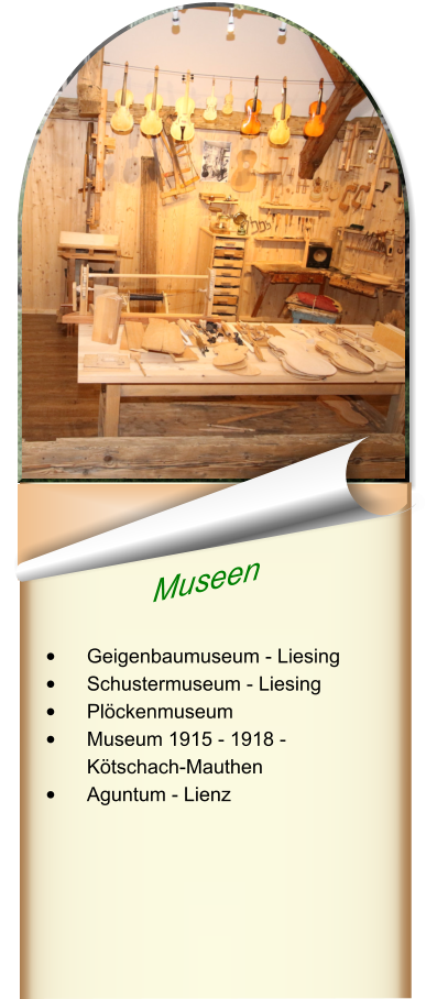 Museen  •	Geigenbaumuseum - Liesing •	Schustermuseum - Liesing •	Plöckenmuseum •	Museum 1915 - 1918 - Kötschach-Mauthen •	Aguntum - Lienz